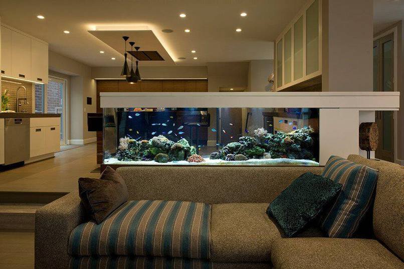vị trí đặt bể cá trong phòng khách (1)