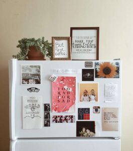 mẹo trang trí tủ lạnh đẹp (4)