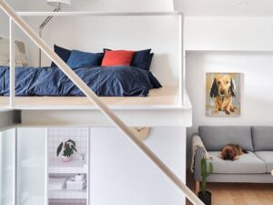 ý tưởng cải tạo phòng khách thành phòng ngủ (5)