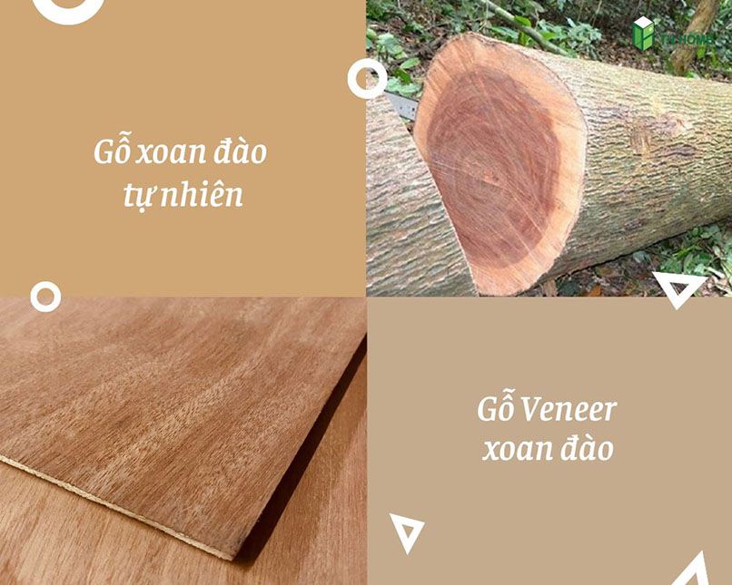 gỗ veneer xoan đào là gì (4)