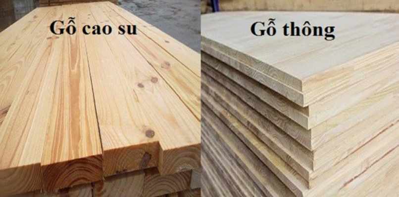 so sánh gỗ cao su và gỗ thông (6)