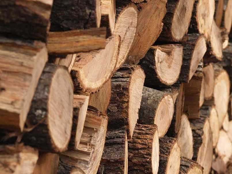so sánh gỗ cao su và gỗ thông (9)