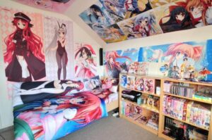 thiết kế phòng ngủ anime (9)