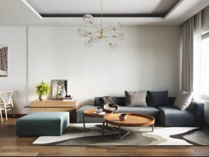 các loại thảm phòng khách hiện đại (7)
