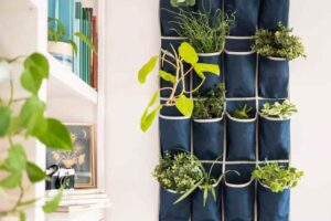 ý tưởng decor cây xanh trong nhà (10)