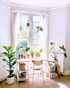 ý tưởng decor cây xanh trong nhà (5)